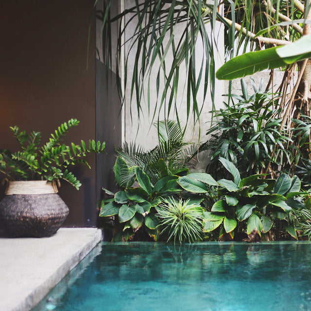 Hamam Etherische Olie. Oosters, Kruidig en Zuiverend.