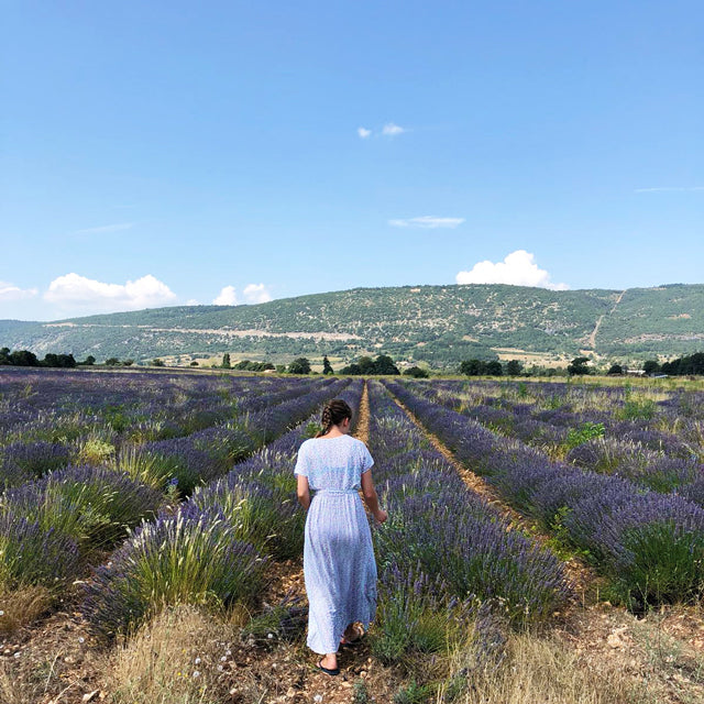 Lavendin Organic Essential Oil. Peace & Fragrance.