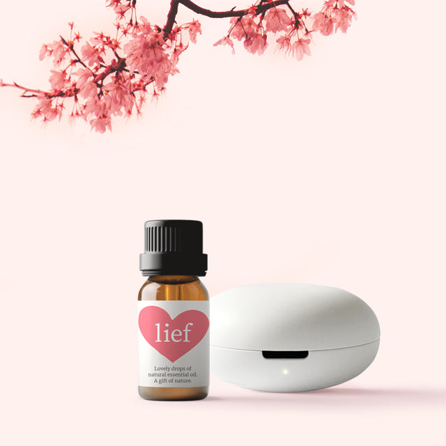 Pebble Wireless Aroma Diffuser with Sweet Essential Oil.